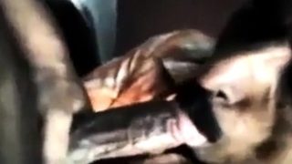 Indian Grandpa sucking