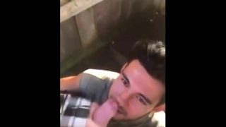 Cute cock sucker and cum eater