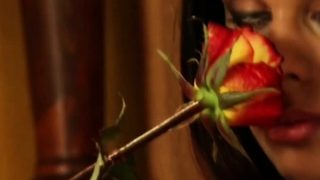 Sensual Journeys From Across Time And